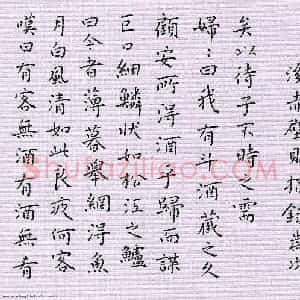 张颢 硬笔楷书作品《后赤壁赋摘录》图片欣赏