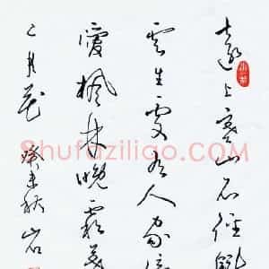 蒋亚军 硬笔行草作品《杜牧诗》图片欣赏