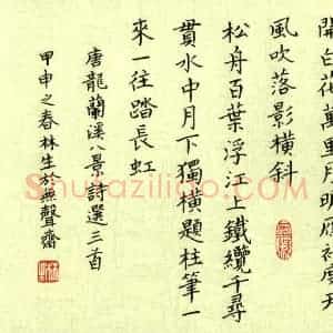 金林生 硬笔楷书作品《唐龙兰溪八景诗》图片欣赏