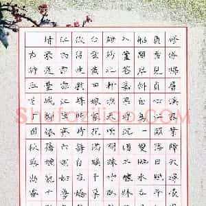 蔡尚睿(少儿组 8岁 金奖)硬笔书法大赛 获奖作品图片欣赏