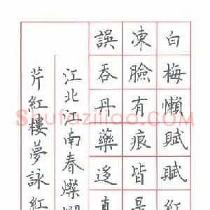 荆霄鹏 硬笔楷书作品《红楼梦诗咏红梅花》图片欣赏