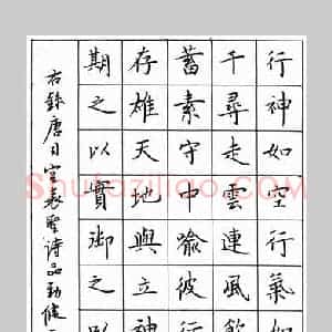 卢中南 硬笔楷书作品《司空曙诗品劲健一则》图片欣赏