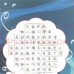 汤远昌 硬笔楷书作品《陆游词》图片欣赏