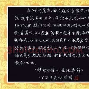 胡洋阳(少儿组 13岁 金奖)硬笔书法大赛 获奖作品图片欣赏