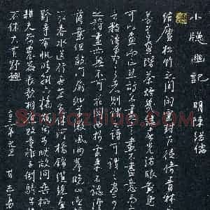甘志勇(成人组 行书 精品奖)硬笔书法大赛 获奖作品图片欣赏