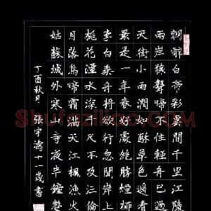 张宇涛(少儿组 10岁 金奖)硬笔书法大赛 获奖作品图片欣赏