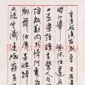 王芳泽 硬笔作品《黄庭坚定风波词一首》图片欣赏