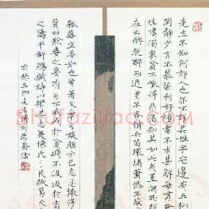 乔淦 硬笔楷书作品《五柳先生传》图片欣赏