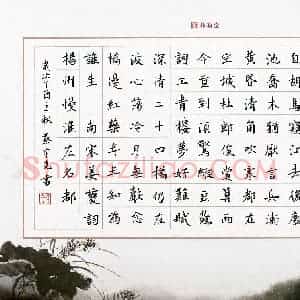 蔡宇尧(少儿组 13岁 金奖)硬笔书法大赛 获奖作品图片欣赏