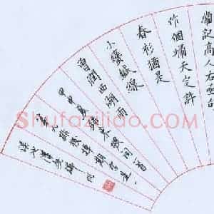 段瑞明 硬笔楷书作品《苏轼词一首》图片欣赏