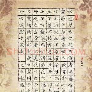粘振利 硬笔楷书作品《爱莲说》图片欣赏