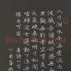 粘振利 硬笔楷书作品《唐诗二首》图片欣赏