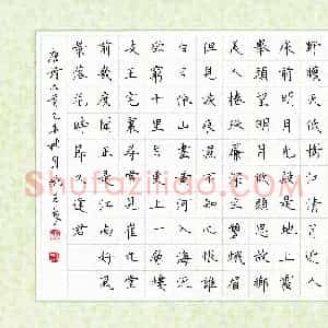 姚玉良(成人组 优秀奖)硬笔书法大赛 获奖作品图片欣赏