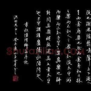 蔡金星 硬笔行书作品《欧阳修醉翁亭记》图片欣赏