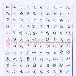 萧望明 硬笔楷书作品《前贤论书句》图片欣赏