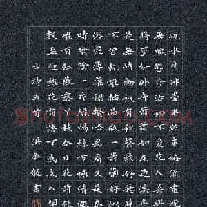 洪金龙(成人组 优秀奖)硬笔书法大赛 获奖作品图片欣赏