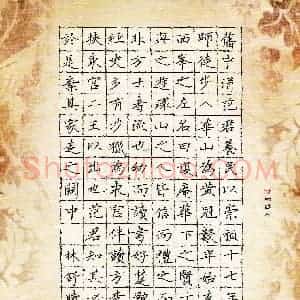 林舒晴(少儿组 13岁 金奖)硬笔书法大赛 获奖作品图片欣赏