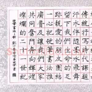 庞中华 硬笔楷书作品《 硬笔之歌》图片欣赏