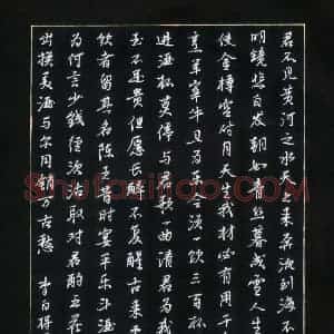 田红武 硬笔行书作品《李白诗将进酒》图片欣赏