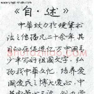 庞中华 硬笔行书作品《自述》图片欣赏