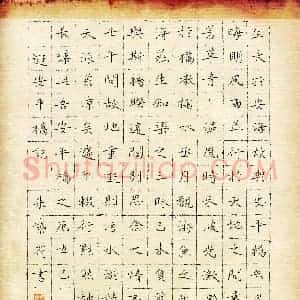 朱紫荷(少儿组 14岁 金奖)硬笔书法大赛 获奖作品图片欣赏
