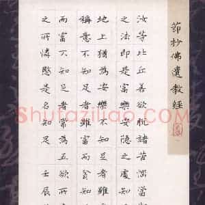 田红武 硬笔楷书作品《节抄佛遗教经》图片欣赏