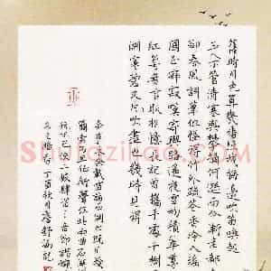 詹舒涵(少儿组 11岁 金奖)硬笔书法大赛 获奖作品图片欣赏