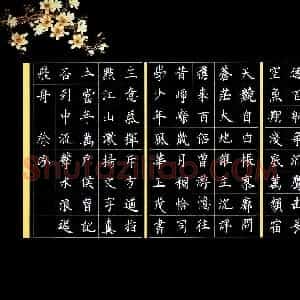 徐泓(少儿组 13岁 金奖)硬笔书法大赛 获奖作品图片欣赏