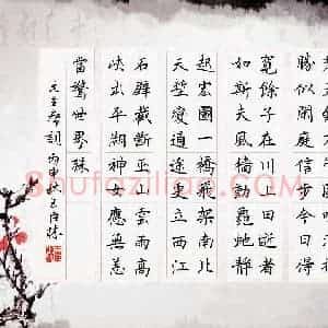 王臣林 硬笔楷书作品《毛泽东词》图片欣赏