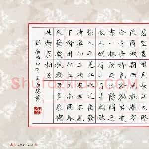 王臣林 硬笔楷书作品《唐诗四首》图片欣赏