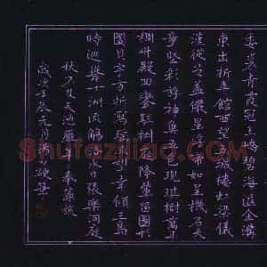 汤力 硬笔楷书作品《王宠诗西苑一首》图片欣赏