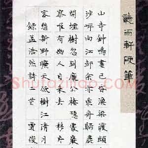 贾俊(成人组)硬笔书法大赛 入围作品选登图片欣赏