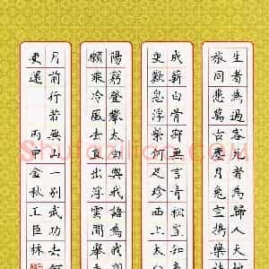 王臣林 硬笔楷书作品《李白诗》图片欣赏