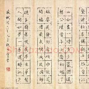 张阿五 硬笔楷书作品《苏轼词一首》图片欣赏