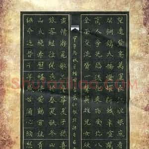 王精神(成人组)硬笔书法大赛 入围作品选登图片欣赏