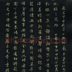 朱勇方 硬笔楷书作品《水龙吟》图片欣赏