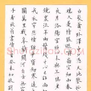 荆隆 硬笔楷书作品《陆游诗书愤二首》图片欣赏