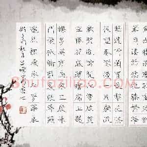 吕晓菲(成人组 优秀奖)硬笔书法大赛 获奖作品图片欣赏