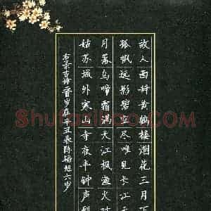 陈韬旭(少儿组 6岁 特等奖)硬笔书法大赛 获奖作品图片欣赏