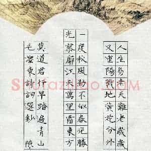 陈晓玉(成人组)硬笔书法大赛 入围作品选登图片欣赏