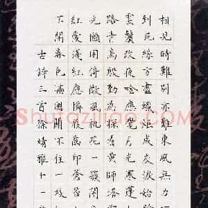 徐婧雅(少儿组 11岁 金奖)硬笔书法大赛 获奖作品图片欣赏