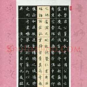 钱星宇(少儿组 9岁 特等奖)硬笔书法大赛 获奖作品图片欣赏