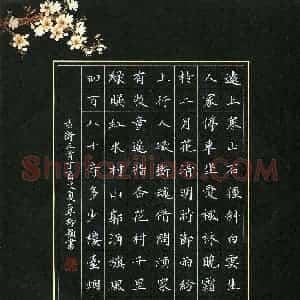 覃柳颖(少儿组 12岁 金奖)硬笔书法大赛 获奖作品图片欣赏