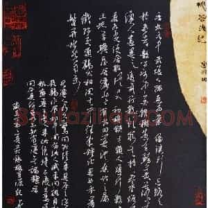 秦剑 硬笔草书作品《桃花源记》图片欣赏