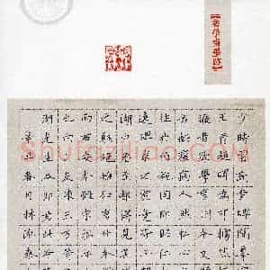 林泓泰(少儿组 10岁 特等奖)硬笔书法大赛 获奖作品图片欣赏