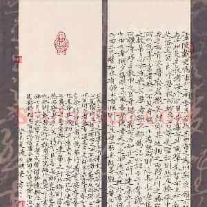 汤力 硬笔楷书作品《张栻雷州府儒学记》图片欣赏