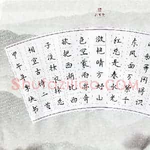 李侠(成人组)硬笔书法大赛 入围作品选登图片欣赏