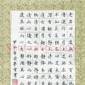 黄梦雪(成人组)硬笔书法大赛 入围作品选登图片欣赏