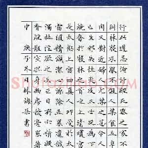 林梅朵(少儿组 12岁 特等奖)硬笔书法大赛 获奖作品图片欣赏