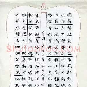 王忠来(成人组)硬笔书法大赛 入围作品选登图片欣赏